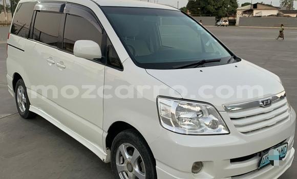 Nunua Ilio tumika Toyota Noah Nyeupe Gari ndani ya Maputo nchini Maputo Nunua Ilio tumika Toyota Noah Nyeupe Gari ndani ya Maputo nchini Maputo