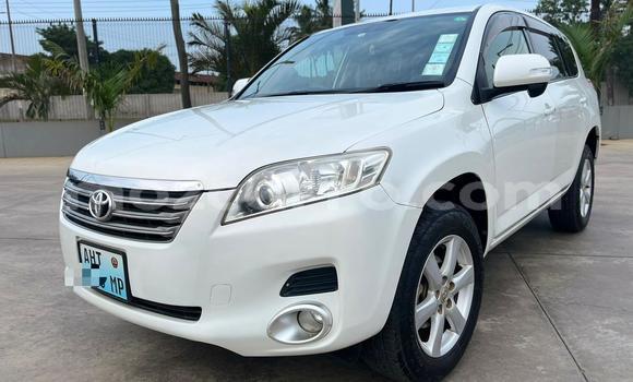 Buy Used Toyota Vanguard White Car in Maputo in Maputo
