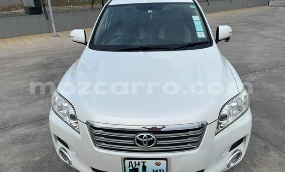 Buy Used Toyota Vanguard White Car in Maputo in Maputo Buy Used Toyota Vanguard White Car in Maputo in Maputo