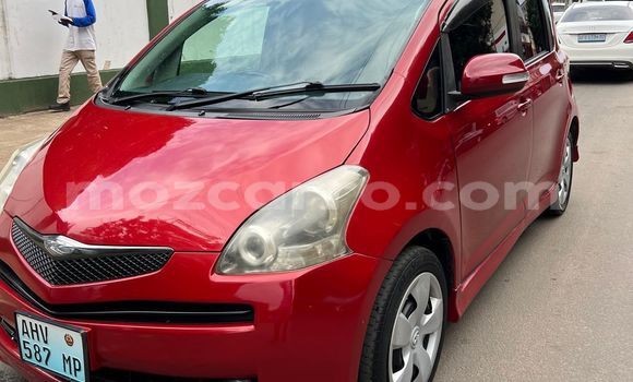 Buy Used Toyota Ractis Red Car in Maputo in Maputo Buy Used Toyota Ractis Red Car in Maputo in Maputo