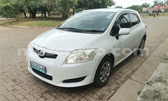 Tenga Tsaru Toyota Auris Chena Mota in Maputo in Maputo Tenga Tsaru Toyota Auris Chena Mota in Maputo in Maputo