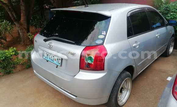 Buy Used Toyota Runx Silver Car in Maputo in Maputo