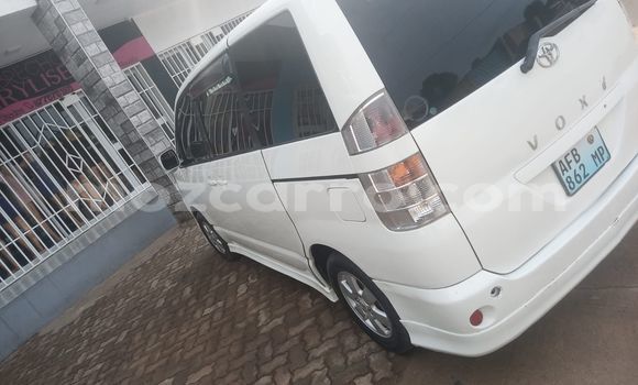 Tenga Tsaru Toyota Voxy Zvimwe Mota in Maputo in Maputo Tenga Tsaru Toyota Voxy Zvimwe Mota in Maputo in Maputo