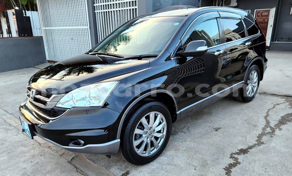 Comprar Usado Honda CR-V De outros Carro em Maputo em Maputo