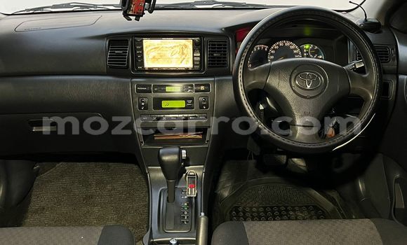 Nunua Ilio tumika Toyota Runx Nyeusi Gari ndani ya Maputo nchini Maputo Nunua Ilio tumika Toyota Runx Nyeusi Gari ndani ya Maputo nchini Maputo