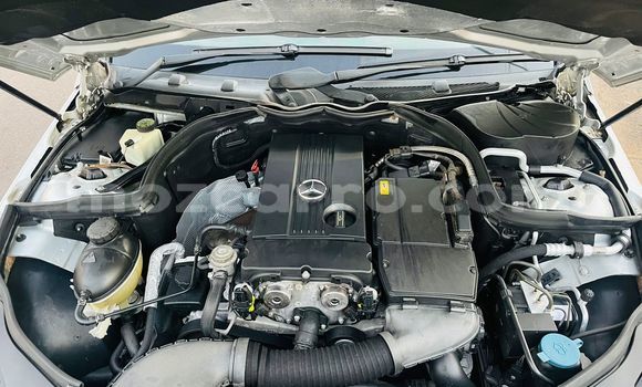 Tenga Tsaru Mercedes Viano Sirivha Mota in Maputo in Maputo Tenga Tsaru Mercedes Viano Sirivha Mota in Maputo in Maputo