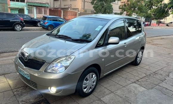 Nunua Ilio tumika Toyota Spacio Fedha Gari ndani ya Maputo nchini Maputo Nunua Ilio tumika Toyota Spacio Fedha Gari ndani ya Maputo nchini Maputo