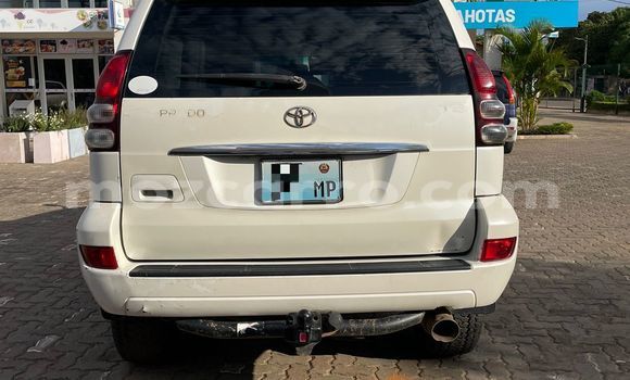 Nunua Ilio tumika Toyota Prado Nyeupe Gari ndani ya Maputo nchini Maputo Nunua Ilio tumika Toyota Prado Nyeupe Gari ndani ya Maputo nchini Maputo