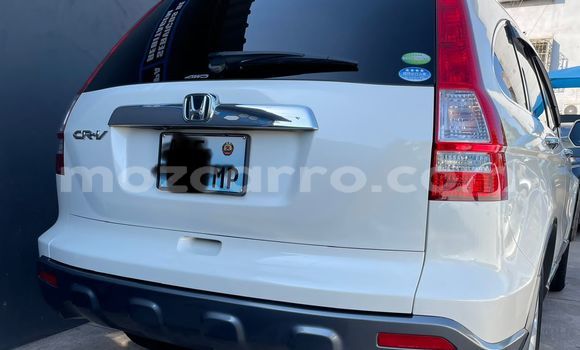 Comprar Usado Honda CR-V Branco Carro em Marara em Tete Comprar Usado Honda CR-V Branco Carro em Marara em Tete