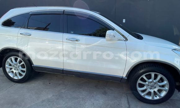 Comprar Usado Honda CR-V Branco Carro em Marara em Tete Comprar Usado Honda CR-V Branco Carro em Marara em Tete
