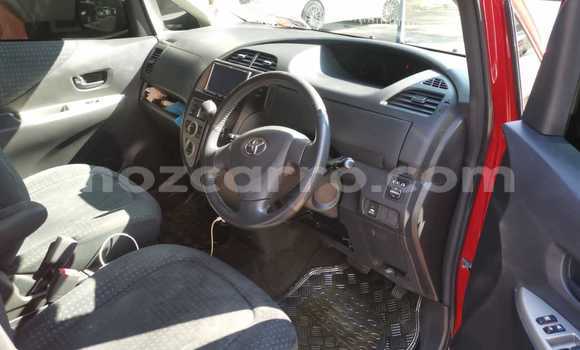 Tenga Tsaru Toyota Ractis Tsvuku Mota in Maputo in Maputo Tenga Tsaru Toyota Ractis Tsvuku Mota in Maputo in Maputo