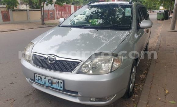 Buy Used Toyota Corolla Silver Car in Maputo in Maputo