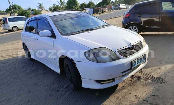 Tenga Tsaru Toyota Runx Chena Mota in Maputo in Maputo Tenga Tsaru Toyota Runx Chena Mota in Maputo in Maputo