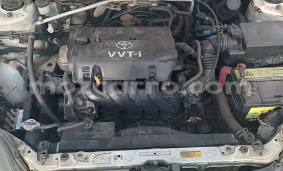 Tenga Tsaru Toyota Runx Chena Mota in Maputo in Maputo Tenga Tsaru Toyota Runx Chena Mota in Maputo in Maputo