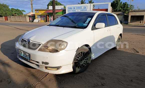 Tenga Tsaru Toyota Runx Chena Mota in Maputo in Maputo Tenga Tsaru Toyota Runx Chena Mota in Maputo in Maputo