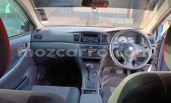 Tenga Tsaru Toyota Runx Chena Mota in Maputo in Maputo Tenga Tsaru Toyota Runx Chena Mota in Maputo in Maputo