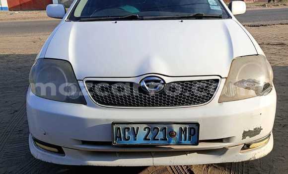 Tenga Tsaru Toyota Runx Chena Mota in Maputo in Maputo Tenga Tsaru Toyota Runx Chena Mota in Maputo in Maputo