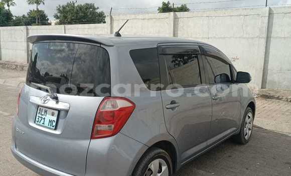 Tenga Tsaru Toyota Ractis Bhuruu Mota in Maputo in Maputo Tenga Tsaru Toyota Ractis Bhuruu Mota in Maputo in Maputo
