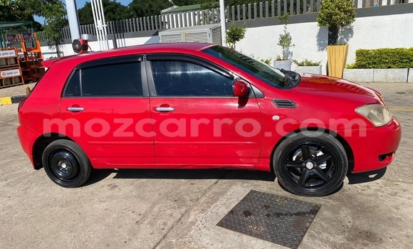 Tenga Tsaru Toyota Runx Tsvuku Mota in Maputo in Maputo Tenga Tsaru Toyota Runx Tsvuku Mota in Maputo in Maputo