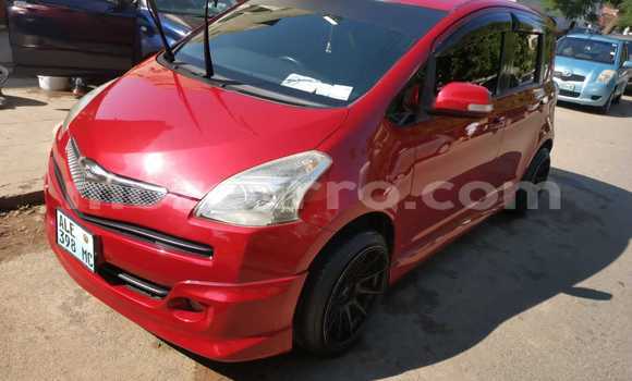 Tenga Tsaru Toyota Ractis Tsvuku Mota in Maputo in Maputo Tenga Tsaru Toyota Ractis Tsvuku Mota in Maputo in Maputo