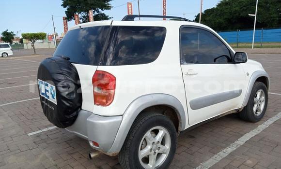 Buy Used Toyota RAV4 White Car in Maputo in Maputo Buy Used Toyota RAV4 White Car in Maputo in Maputo