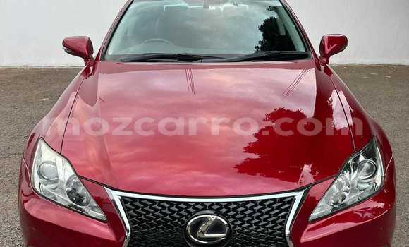 Comprar Usado Lexus IS Vermelho Carro em Maputo em Maputo Comprar Usado Lexus IS Vermelho Carro em Maputo em Maputo