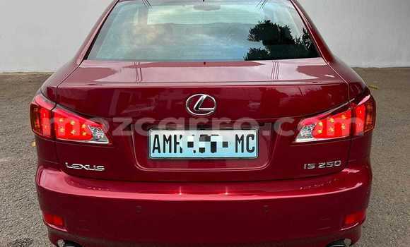 Comprar Usado Lexus IS Vermelho Carro em Maputo em Maputo Comprar Usado Lexus IS Vermelho Carro em Maputo em Maputo