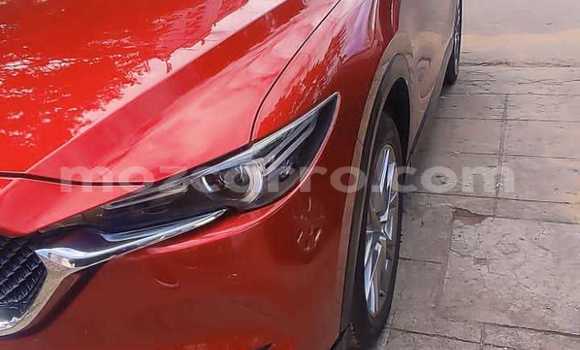 Buy Used Mazda CX-5 Red Car in Maputo in Maputo