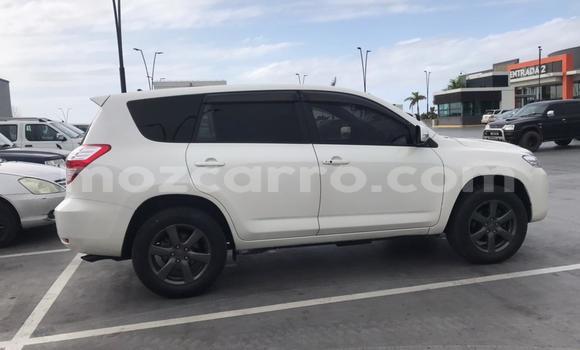 Buy Used Toyota Vanguard White Car in Maputo in Maputo Buy Used Toyota Vanguard White Car in Maputo in Maputo