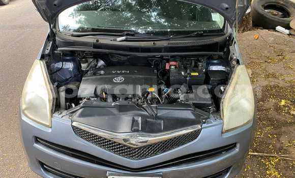 Nunua Ilio tumika Toyota Ractis Bluu Gari ndani ya Maputo nchini Maputo Nunua Ilio tumika Toyota Ractis Bluu Gari ndani ya Maputo nchini Maputo