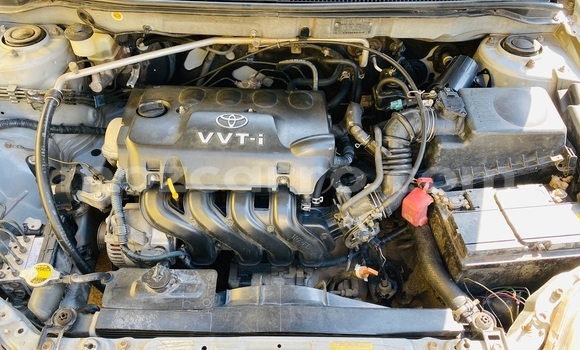 Tenga Tsaru Toyota Runx Sirivha Mota in Maputo in Maputo Tenga Tsaru Toyota Runx Sirivha Mota in Maputo in Maputo