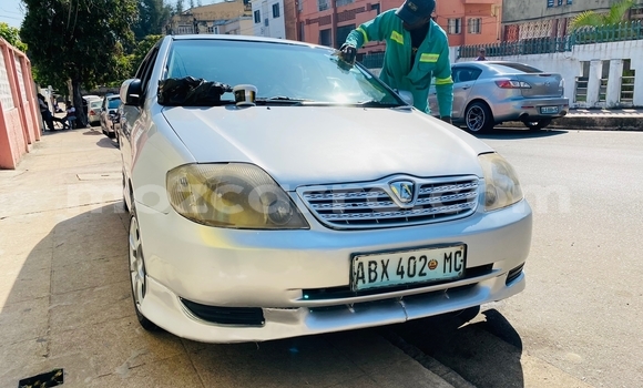 Tenga Tsaru Toyota Runx Sirivha Mota in Maputo in Maputo Tenga Tsaru Toyota Runx Sirivha Mota in Maputo in Maputo