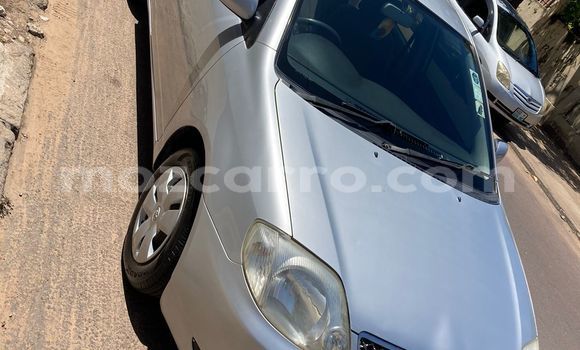 Tenga Tsaru Toyota Corolla Sirivha Mota in Maputo in Maputo Tenga Tsaru Toyota Corolla Sirivha Mota in Maputo in Maputo