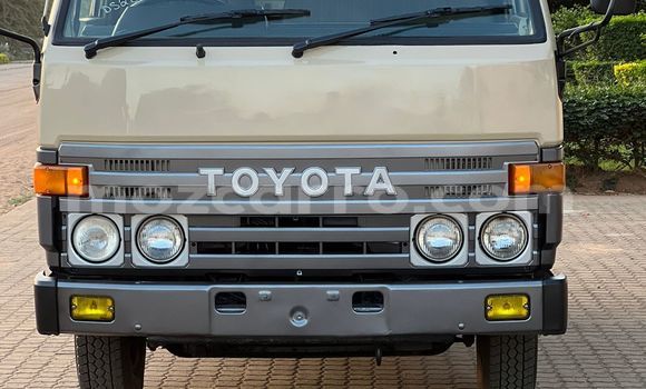 Buy Used Toyota Dyna Other Car in Maputo in Maputo