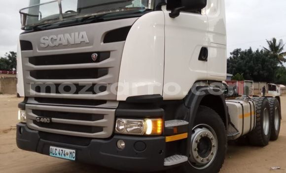 Comprar Usado Scania R420 Branco Caminhão em Maputo em Maputo