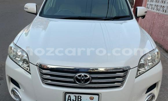 Buy Used Toyota Vanguard White Car in Maputo in Maputo