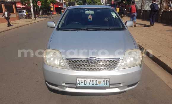 Nunua Ilio tumika Toyota Corolla Fedha Gari ndani ya Maputo nchini Maputo Nunua Ilio tumika Toyota Corolla Fedha Gari ndani ya Maputo nchini Maputo