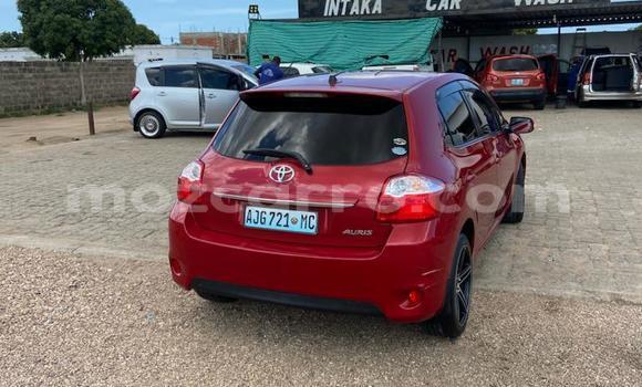 Comprar Usado Toyota Auris Vermelho Carro em Maputo em Maputo Comprar Usado Toyota Auris Vermelho Carro em Maputo em Maputo