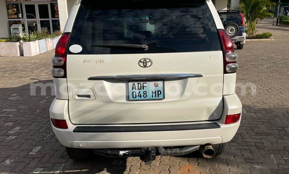 Tenga Tsaru Toyota Prado Chena Mota in Maputo in Maputo Tenga Tsaru Toyota Prado Chena Mota in Maputo in Maputo