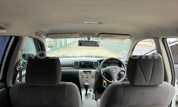 Buy Used Toyota Runx White Car in Maputo in Maputo Buy Used Toyota Runx White Car in Maputo in Maputo