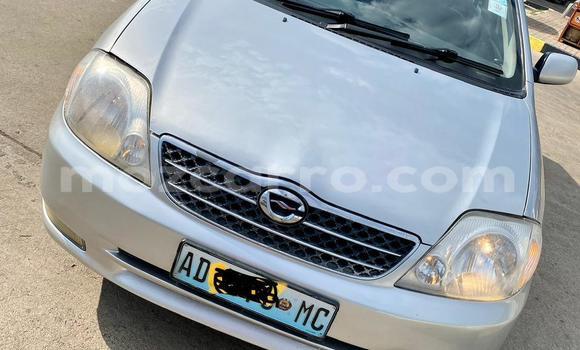Buy Used Toyota Corolla Silver Car in Maputo in Maputo Buy Used Toyota Corolla Silver Car in Maputo in Maputo