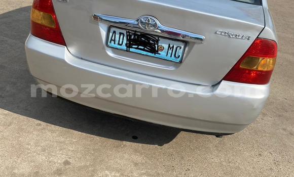 Nunua Ilio tumika Toyota Corolla Fedha Gari ndani ya Maputo nchini Maputo Nunua Ilio tumika Toyota Corolla Fedha Gari ndani ya Maputo nchini Maputo