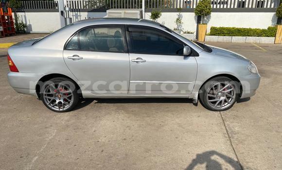 Nunua Ilio tumika Toyota Corolla Fedha Gari ndani ya Maputo nchini Maputo Nunua Ilio tumika Toyota Corolla Fedha Gari ndani ya Maputo nchini Maputo