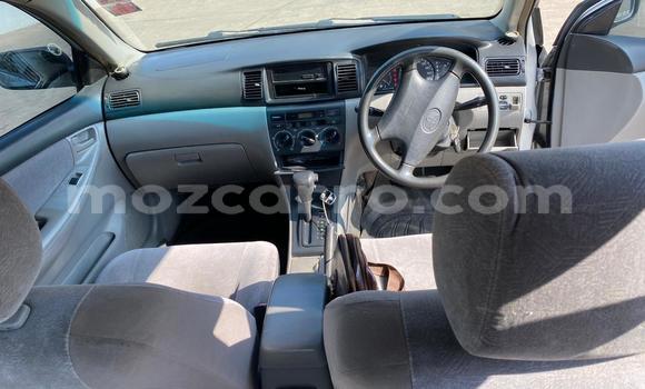 Nunua Ilio tumika Toyota Corolla Fedha Gari ndani ya Maputo nchini Maputo Nunua Ilio tumika Toyota Corolla Fedha Gari ndani ya Maputo nchini Maputo