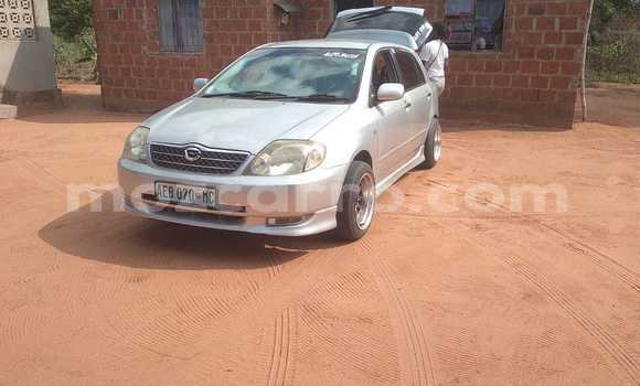 Nunua Ilio tumika Toyota Runx Fedha Gari ndani ya Maputo nchini Maputo Nunua Ilio tumika Toyota Runx Fedha Gari ndani ya Maputo nchini Maputo