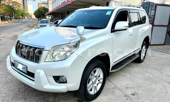 Comprar Usado Toyota Land Cruiser Prado Branco Carro em Maputo em Maputo Comprar Usado Toyota Land Cruiser Prado Branco Carro em Maputo em Maputo