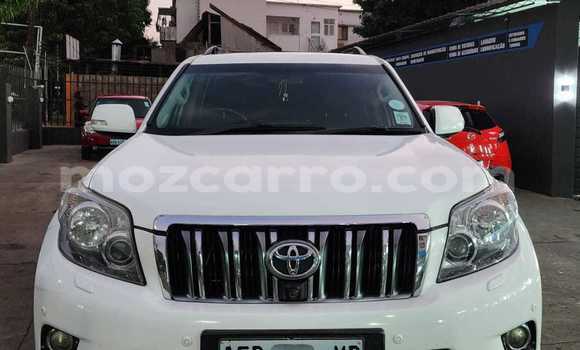Comprar Usado Toyota Land Cruiser Prado Branco Carro em Maputo em Maputo Comprar Usado Toyota Land Cruiser Prado Branco Carro em Maputo em Maputo
