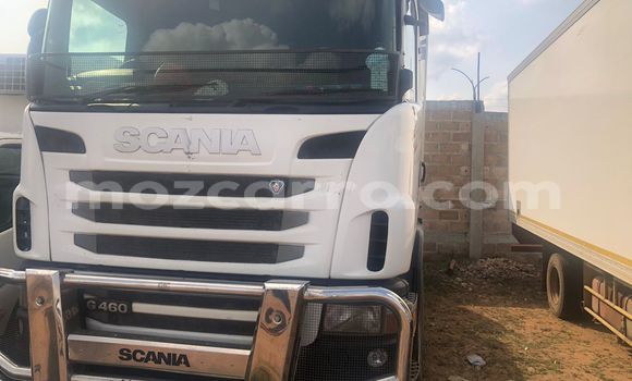 Buy New Scania R420 White Truck in Maputo in Maputo Buy New Scania R420 White Truck in Maputo in Maputo