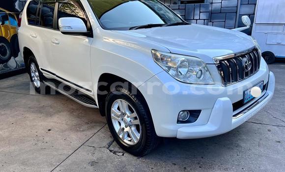 Comprar Usado Toyota Land Cruiser Prado Branco Carro em Maputo em Maputo Comprar Usado Toyota Land Cruiser Prado Branco Carro em Maputo em Maputo