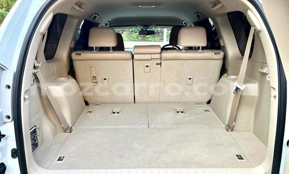 Comprar Usado Toyota Land Cruiser Prado Branco Carro em Maputo em Maputo Comprar Usado Toyota Land Cruiser Prado Branco Carro em Maputo em Maputo